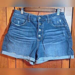 TIME and TRU Blue Jean Distressed Shorts